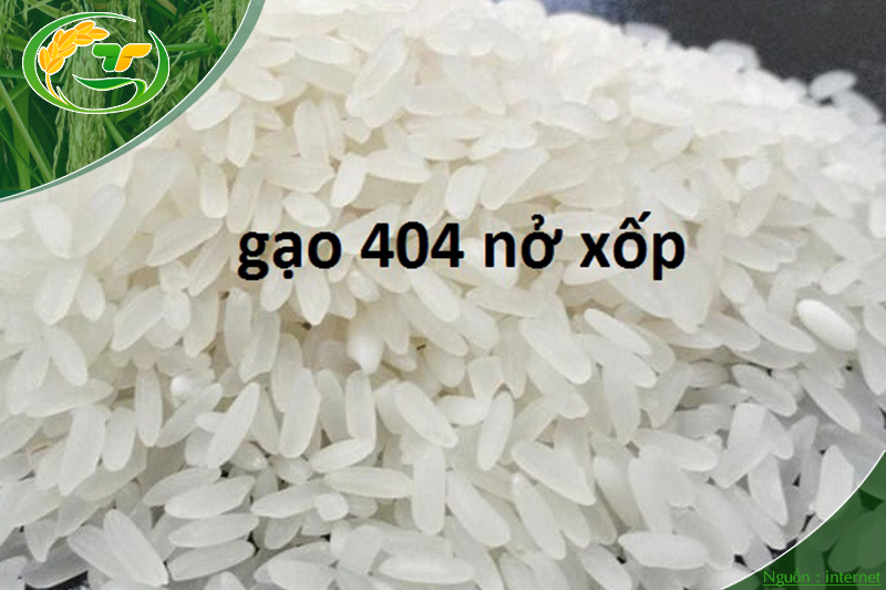 Gạo 404 có nhiều dưỡng chất tốt cho sức khỏe.