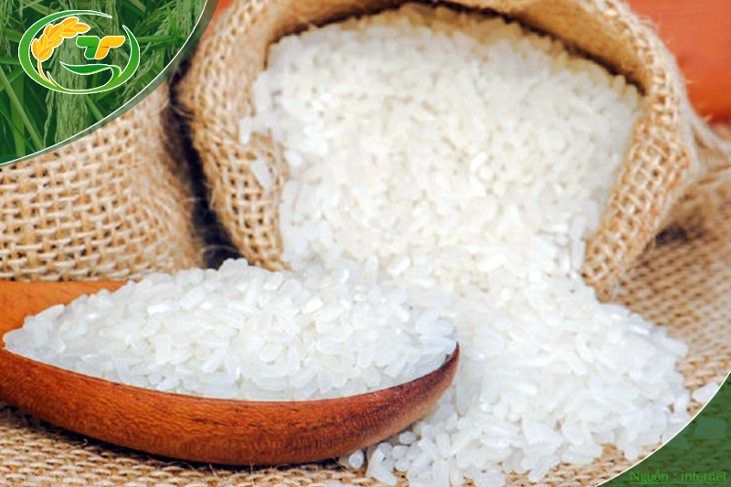 Cách bảo quản gạo Hàm Châu