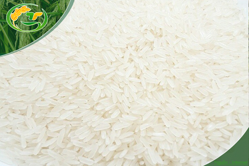 gạo lài sữa
