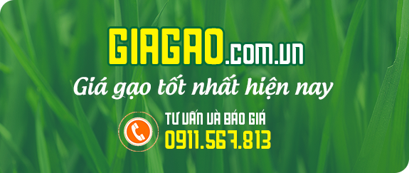 CÔNG TY TNHH XNK NÔNG SẢN THÀNH TÂM