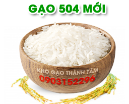 Gạo 504 Mới