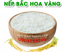 Nếp Bắc Hoa Vàng 