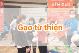 BÁN GẠO TỪ THIỆN NGON CHẤT LƯỢNG, UY TÍN, GIÁ RẺ NHẤT TẠI THÀNH PHỐ HỒ CHÍ MINH