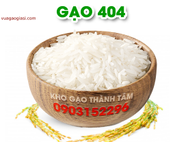 Gạo 404