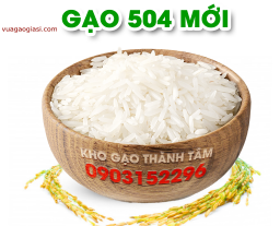 Gạo 504 Mới