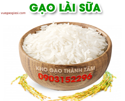 Gạo Lài Sữa