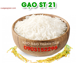 Gạo ST21 Đặc Sản