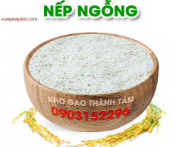 Nếp Ngỗng 