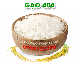 Gạo 404