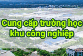 Tuyển Đại lý và giao sỉ cho đại lý